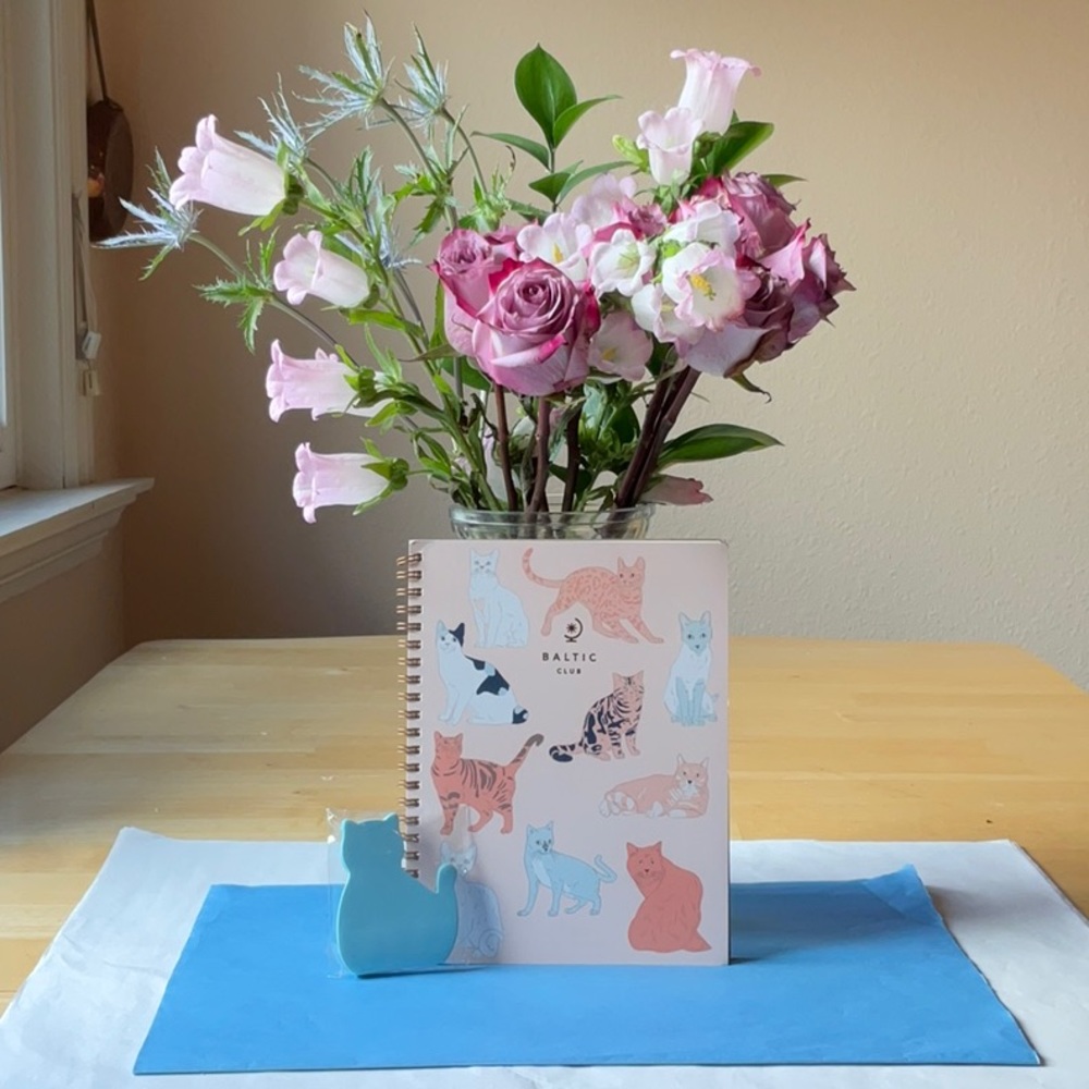 🐈 BALTIC CLUB CAT NOTEBOOK 🐈 NWT 🐈